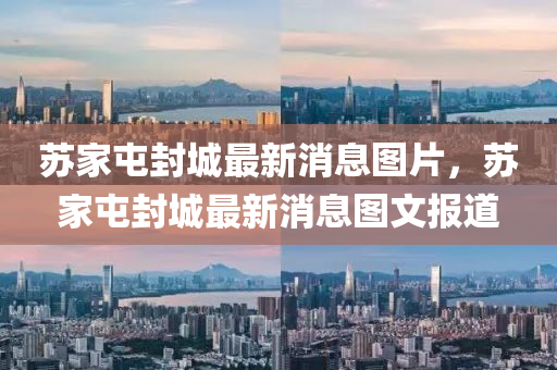 质问:7777788888管家婆老家,抵制虚假诱导套路-文化释义、专家解读解释与落实