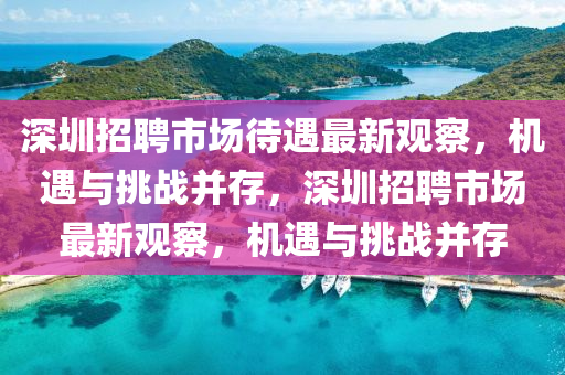 深圳招聘市场待遇中山市多米克自动化设备有限公司最新观察,机遇与挑战并存,深圳招聘市场最新观察,机遇与挑战并存