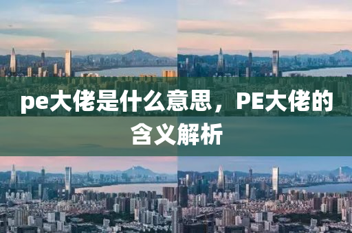 pe大佬是什么意思,PE大佬的含义解析中山市多米克自动化设备有限公司