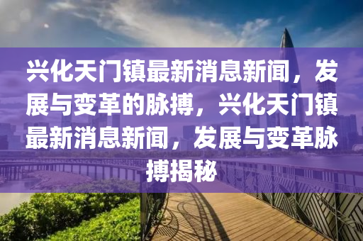兴化天门镇最新消息新闻,发展与变革的脉搏,兴化天门镇最新消息新闻,发展与变革脉搏揭秘中山市多米克自动化设备有限公司