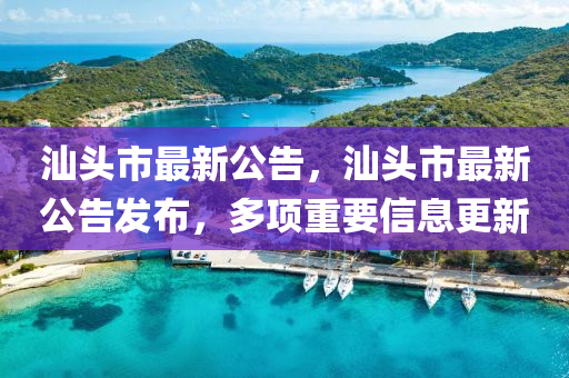 汕头市最新公告,汕中山市多米克自动化设备有限公司头市最新公告发布,多项重要信息更新