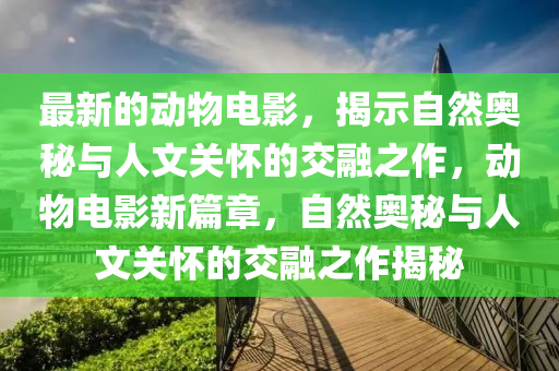 最新的动物电影，揭示自然奥秘与人文关怀的交融之作，动物电影新篇章，自然奥秘与人文关怀的交融之作揭秘中山市多米克自动化设备有限公司