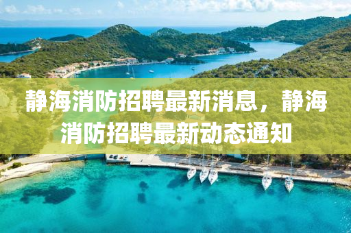 静海消防招聘最新消息，静海消防招聘最新动态通知中山市多米克自动化设备有限公司