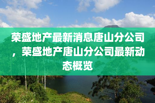 荣盛地产最新消息唐山分公司,荣盛地产唐山分公司最新动态概览中山市多米克自动化设备有限公司