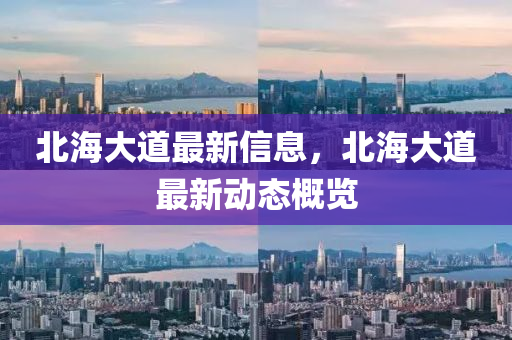 北海大道最新信息，北海中山市多米克自动化设备有限公司大道最新动态概览