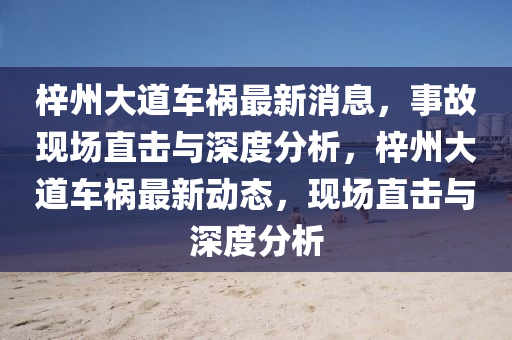 梓州大道车祸最新消息,事故现场直击与深度分析,梓州大道车祸最新动态,现场直击与深度分析中山市多米克自动化设备有限公司