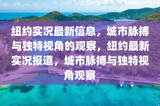 纽约实况最新信息，城市脉搏与独特视角的观察，纽约最新实况报道，城市脉搏与独特视角观察中山市多米克自动化设备有限公司